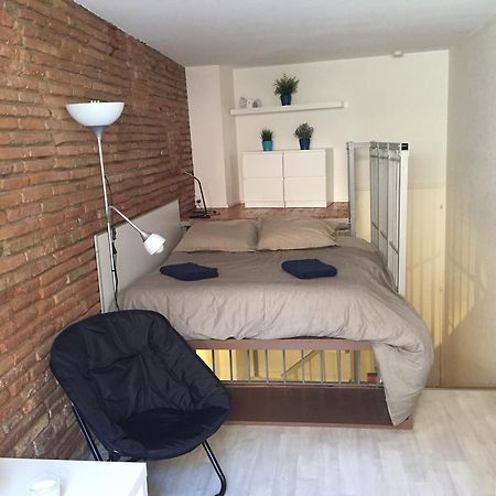 Апартаменты Le Petit Moulin, Duplex Hypercentre Тулуза Экстерьер фото